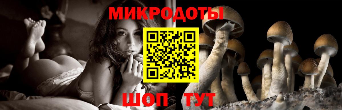 Чайковский  Галлюциногенные грибы Cubensis  цены наркотик  Псилоцибиновые грибы Psilocybe  Вход с VPN 